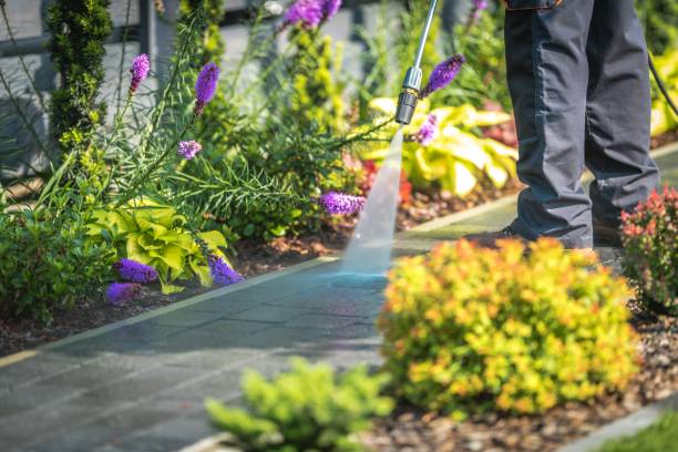 Best Fence Cleaning  in Jamestown West, NY
